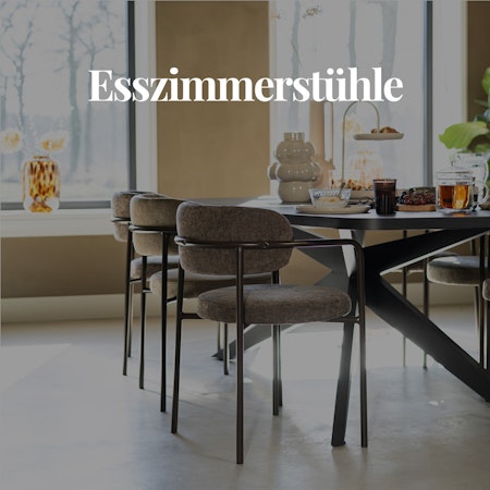 Esszimmerstühle
