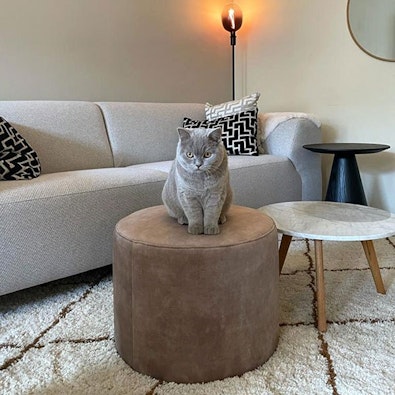 Inspiratie velvet meubelen8